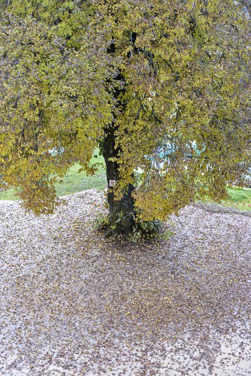 L'Escale En Ubaye Bed and Breakfast Saint-Pons  Buitenkant foto